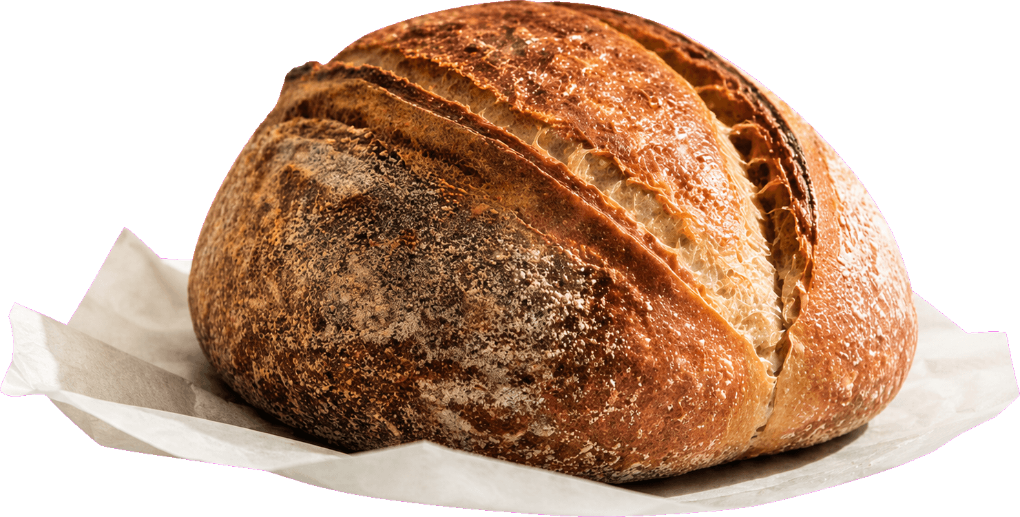 Rustic sourdough loaf on sage parchment